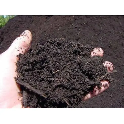 Farmyard Compost - Master