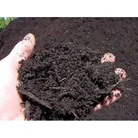 Farmyard Compost - Master