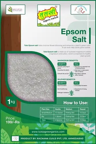 EPSOM Salt - Master