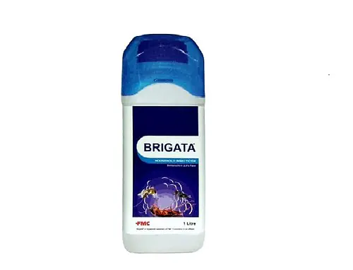 Brigata 2.5% SC - Master
