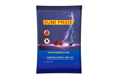 SUMI PRIDE�� 6GM - Master
